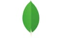 MongoDB Icon